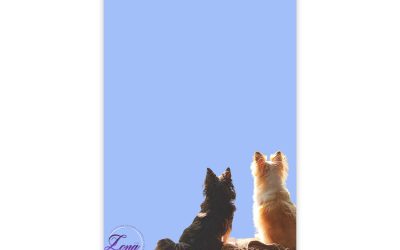 Chester and Jack Note Pads (4×6) | The Zona Studio LLC